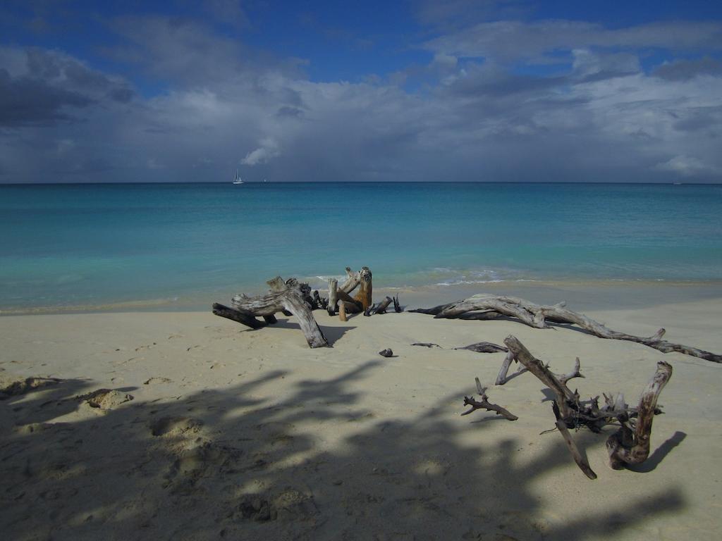 Antigua Chiama Italia Villas Jolly Harbour Værelse billede